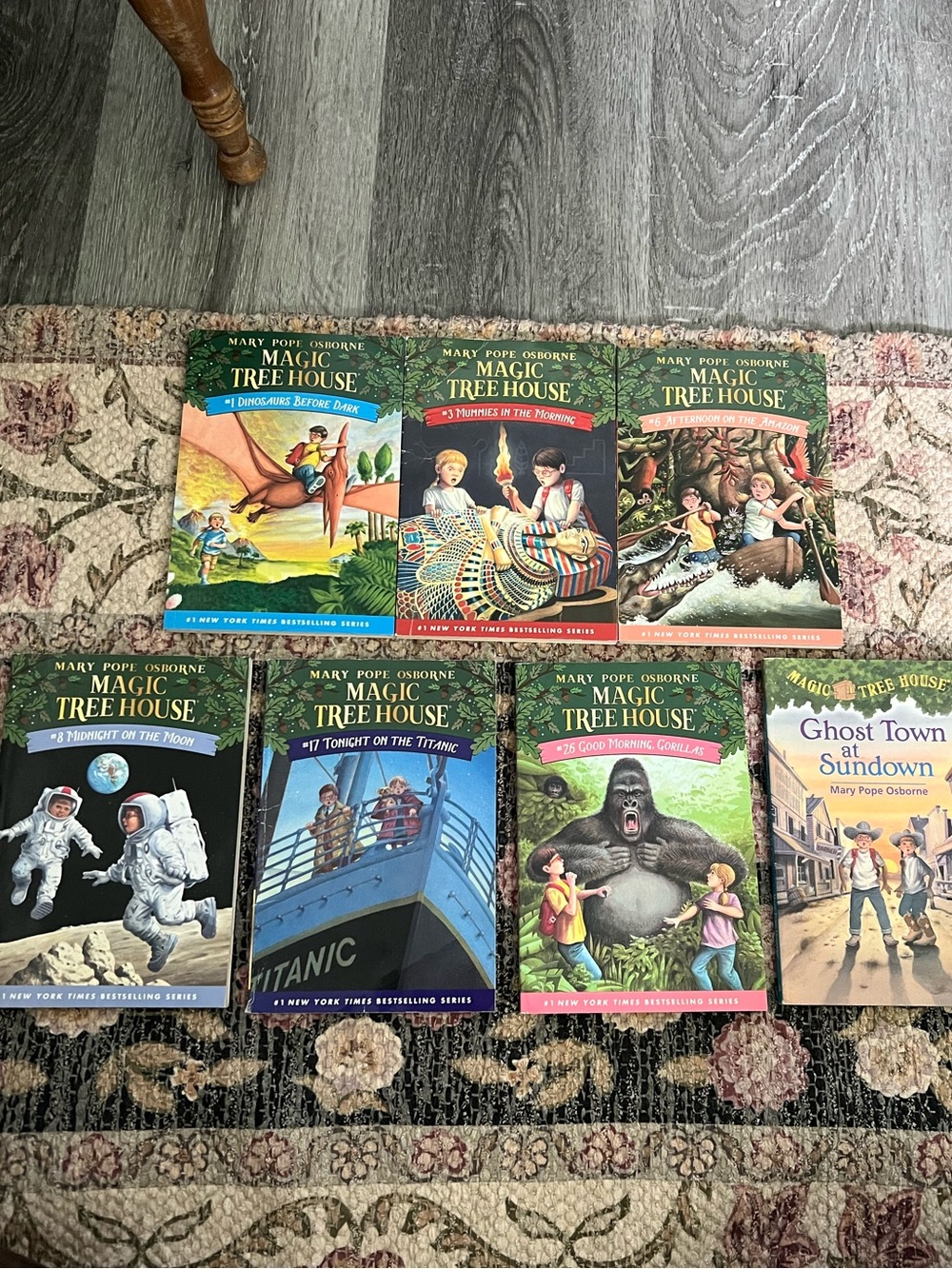 Magic Tree House Kids Chapter Books (Mary Pope Osborne)